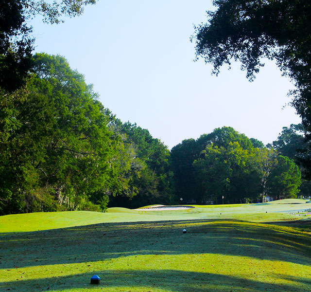 Golf Course in Charleston, SC North Charleston Golf Courses